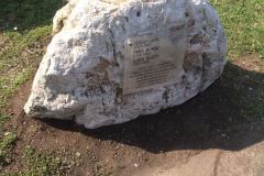 il-cippo-ai-piedi-della-pianta